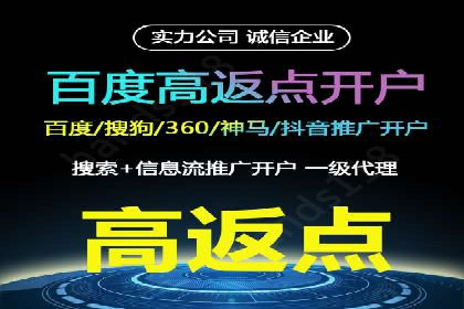 百度SEO推广成功案例：品牌知名度提升