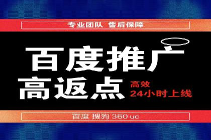 SEM推广代运营公司：实战案例解析
