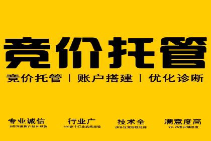 电商行业中的信息流代理策略与效果评估